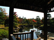 日本庭園（１）